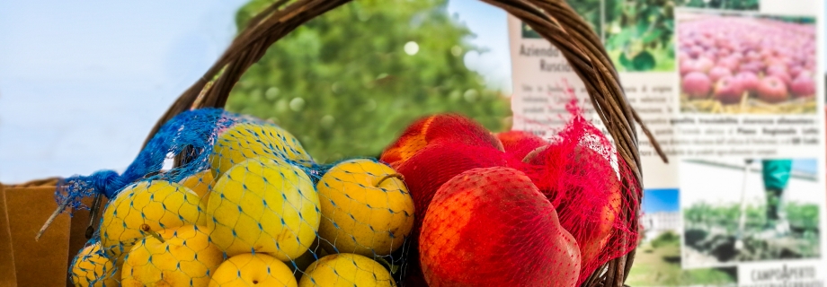Frutta Day alla Masseria Ferraioli: scegli e raccogli con le tue mani!