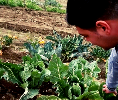 La testimonianza di Ignazio, un cittadino alla Masseria Ferraioli