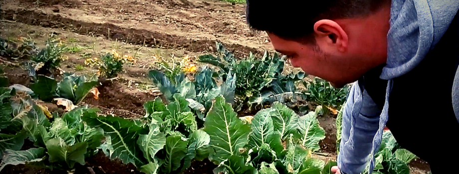 La testimonianza di Ignazio, un cittadino alla Masseria Ferraioli